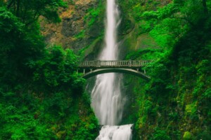 Tall waterfall with bridge above Tall waterfall and bridge in green forest