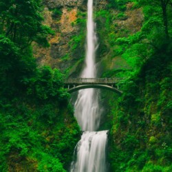 Tall waterfall and bridge in green forest
